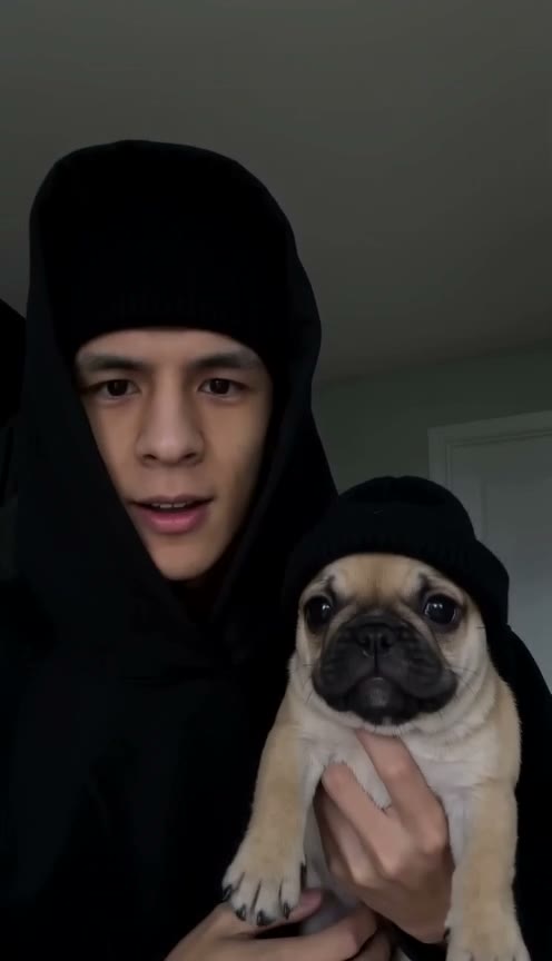 Quadro de exemplo do modelo Skull Cap Dog